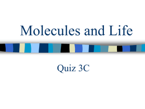 Molecules and Life Quiz 3C