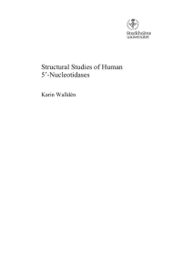 Structural Studies of Human 5’-Nucleotidases Karin Walldén