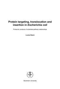 Protein targeting, translocation and Escherichia coli  Proteomic analysis of substrate-pathway relationships