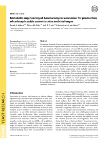 Saccharomyces cerevisiae Metabolic engineering of for production