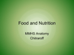 Food and Nutrition MMHS Anatomy Chitraroff