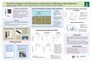 Seasonal Changes in the Phosphorus Composition of Missisquoi Bay Sediments