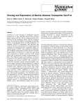 Cloning and Expression of Bovine Glucose Transporter GLUT12