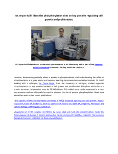 Dr. Bryan Ballif identifies phosphorylation sites on key proteins regulating cell  growth and proliferation.