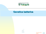 plasmidi coniugativi - Microbiologia TorVergata