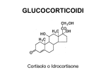Glucocorticoidi - E