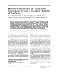 Molecular Characterization of a Chromosomal Rearrangement Involved in the Adaptive Evolution