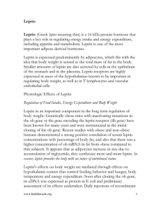 Leptin  (Greek leptos meaning thin) is a 16 kDa protein hormone... plays a key role in regulating energy intake and energy...