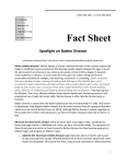 Fact Sheet Spotlight on Batten Disease 