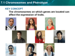 7.1 Chromosomes and Phenotype KEY CONCEPT affect the expression of traits.