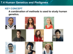 7.4 Human Genetics and Pedigrees KEY CONCEPT genetics.