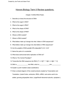 Honors Biology Term II Review questions.   