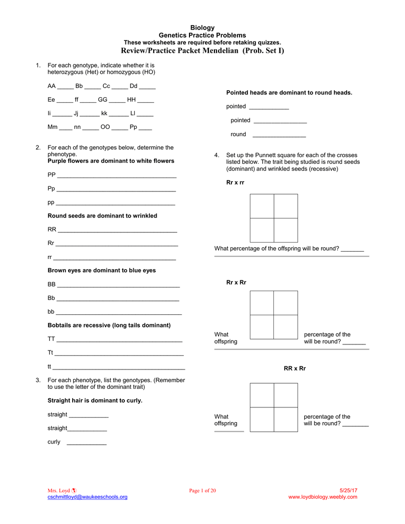 Review/Practice Packet Mendelian (Prob. Set I) Biology Genetics In Genetics Practice Problems Worksheet