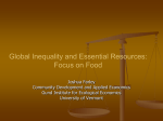Global Inequality and Essential Resources: Focus on Food