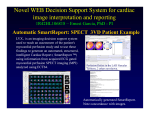 Novel WEB Decision Support System for cardiac image interpretation and reporting