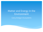 Matter and Energy in the Environment C20L3 Energy in Ecosystems