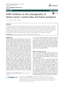 PARP inhibitors in the management of Open Access