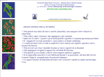 Diapositiva 1 - Biotecnologie - Università degli Studi di Verona
