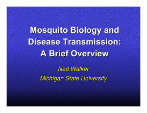 Mosquito Biology and Disease Transmission: A Brief Overview Ned Walker