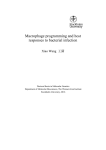 Macrophage programming and host responses to bacterial infection Xiao Wang  王潇