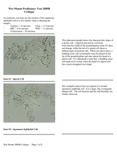 Wet Mount Proficiency Test 2009B Critique