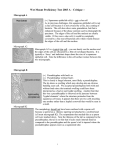 Wet Mount Proficiency Test 2003 A