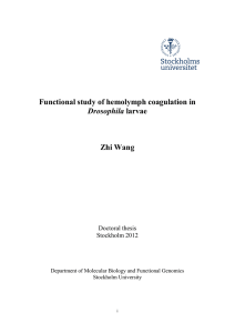 Functional study of hemolymph coagulation in Zhi Wang Drosophila