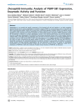 Drosophila Immunity: Analysis of PGRP-SB1 Expression, Enzymatic Activity and Function