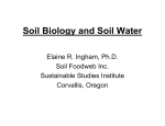 Soil Biology and Soil Water Elaine R. Ingham, Ph.D. Soil Foodweb Inc.