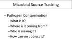 Microbial Source Tracking • Pathogen Contamination  –What is it?