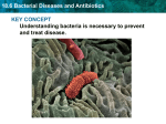 18.6 Bacterial Diseases and Antibiotics  KEY CONCEPT