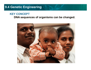 9.4 Genetic Engineering KEY CONCEPT DNA sequences of organisms can be changed.