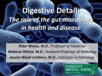 Digestive Detail: The role of the gut microbiota in health and disease