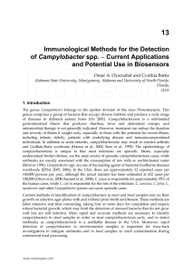 13 Immunological Methods for the Detection Campylobacter and Potential Use in Biosensors