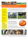 What is Johne’s Disease?