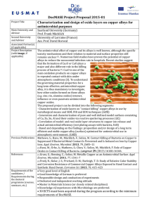 DocMASE	Project	Proposal	2015‐01 Characterization and design of oxide layers on copper alloys for