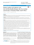 Dietary quality and patterns and non-communicable disease risk of an Indian