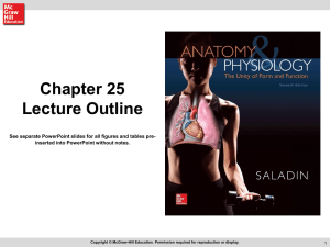 Chapter 25 Lecture Outline