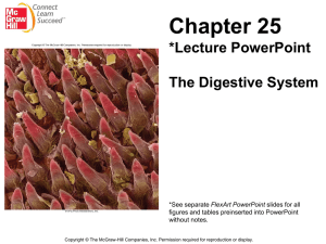Chapter 25 *Lecture PowerPoint  The Digestive System