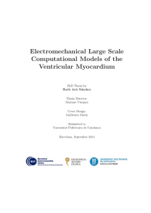 Electromechanical Large Scale Computational Models of the Ventricular Myocardium