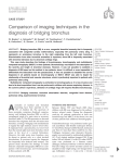 Comparison of imaging techniques in the diagnosis of bridging bronchus CASE STUDY