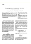 Mycobacterium  tuberculosis during  chemotherapy *