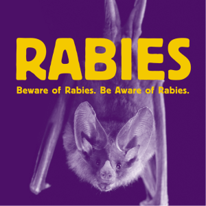 RABIES Beware of Rabies. Be Aware of Rabies.