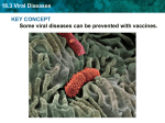 18.3 Viral Diseases KEY CONCEPT