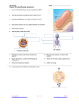 AP Biology  Name _________________________ Chapter 18 Guided Reading Assignment