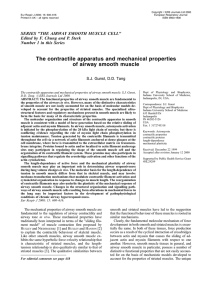 The contractile apparatus and mechanical properties of airway smooth muscle
