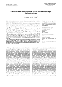 Effect of chest wall vibration on the canine diaphragm during breathing