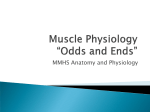 MMHS Anatomy and Physiology