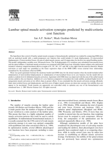 Lumbar spinal muscle activation synergies predicted by multi-criteria cost function