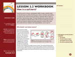 LESSON 2.2 WORKBOOK How is a cell born?